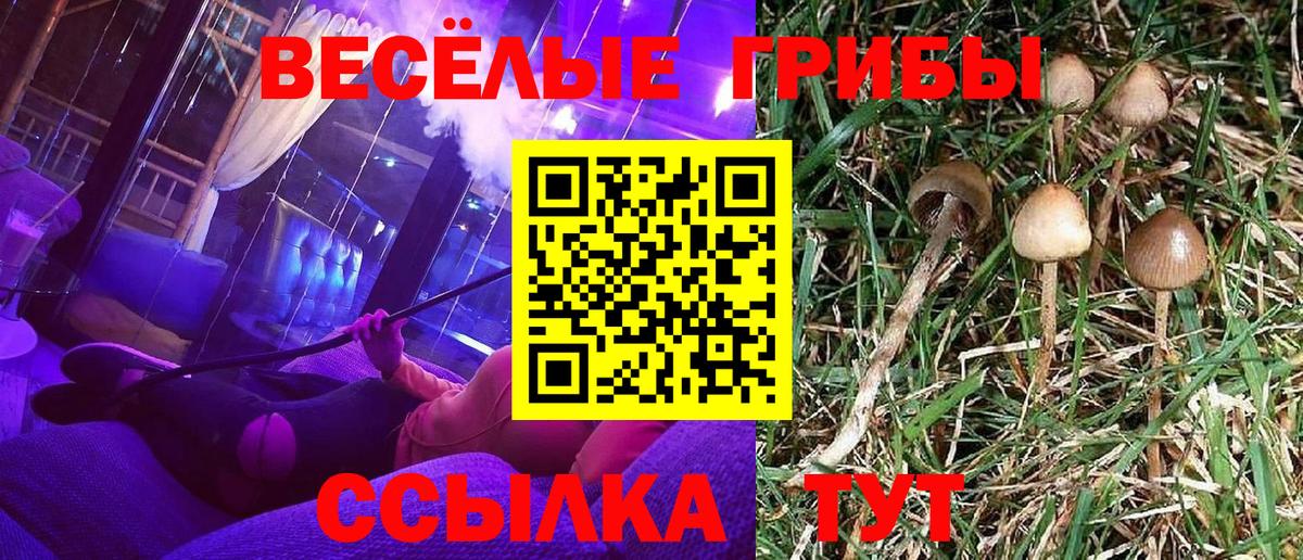 Ачинск  Псилоцибиновые грибы MAGIC MUSHROOMS  Вход с VPN  Псилоцибиновые грибы ЛСД 